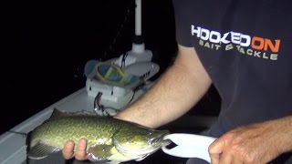 Murray Cod Surface Lure Fishing 19.12.15
