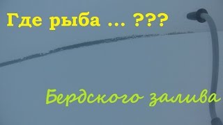 Рыбалка в Сибири #32. Зимняя рыбалка на Обском водохранилище, в Бердском заливе, на плотву и судака.