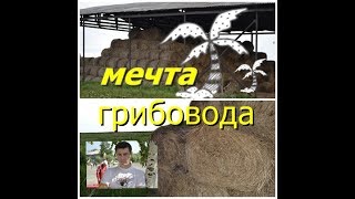 Мечта грибовода. Бесконечный субстрат для выращивания грибов. Грибы Вешенка. "Месть Лису"(((