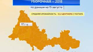 Уборочная-2018. «Оренбуржье в цифрах» от 18 августа 2018 года