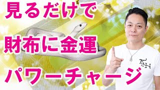 【みるみる金運が上がる】財布に金運エネルギーをチャージ〜プロ霊能力者のガチヒーリング