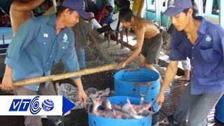 Cần tránh bẫy “giá ảo” của thương lái Trung Quốc | VTC