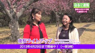 なるべく速報「八重桜まつり情報〜静峰ふるさと公園（那珂）」