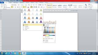 How to Apply Text Effects in MS Word