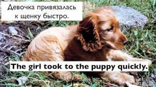 Учим разговорные выражения и слова. Ч.2. Урок английского языка для всех. Интересные упражнения.