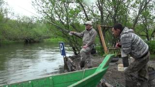 На видео настоящая камчатская рыбалка. Ловим дикую форель на икру