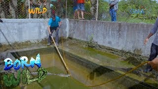 Born to be Wild: Checking the condition of Kanluran