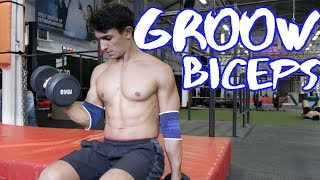 GROW BICEPS! - Road To Recovery Week 5