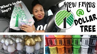 DOLLAR TREE HAUL!!!!! NEW FINDS