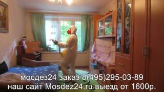 Уничтожение клопов, выведение клопов, уничтожение тараканов.mosdez77.ru тел.8 495 970-93-25