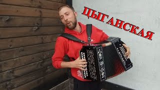 Цыганская песня на гармони