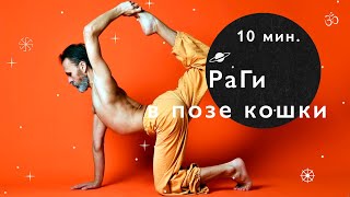 комплекс в позе кошки, радужная гимнастика
