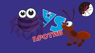 Паук против муравья или муравей против паука.