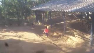 Amo ficar no sítio