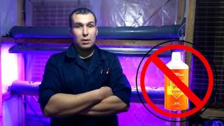 Как подготовить керамзит для домашней гидропоники