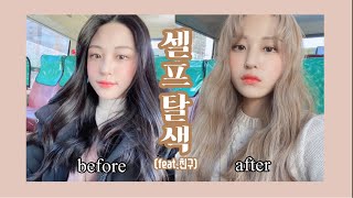 스무살 되기 전 탈색하기 & 염색하기