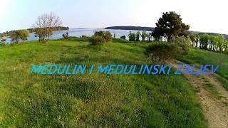 Medulin