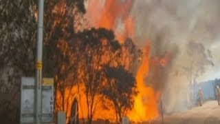 حرائق غير مسبوقة شرق أستراليا تهدد بالوصول إلى سيدني