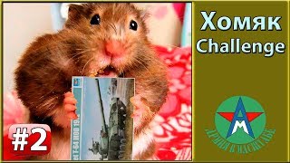 Хомяк Challenge