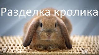 Забой кролика