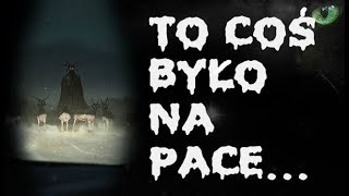 BYŁEM KIEROWCĄ TIRA... - STRASZNE HISTORIE