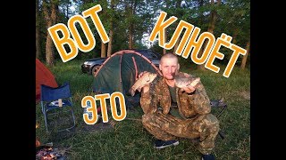 Рыбалка ловля карася на Ставрополье. Карась клевал как бешанный!