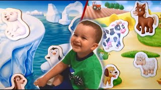 Учим животных. Кто где живет? Развивающее видео для детей.