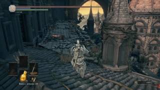 Dark Souls 3: где найти пепел Серокрыса?