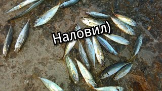 Самодур или пилькер на что лучше ловить саргана и ставриду/ fishing in the Black sea,Ukrane Odessa
