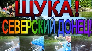 Северский Донец, есть  рыба,или нет?Лето