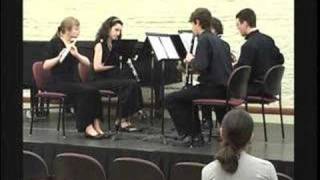 Mozart Quintet in C minor, Mvt. 1 - Quintessence