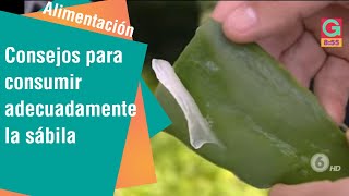 Consejos para consumir adecuadamente la sábila | Salud