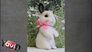 Валяние Зайка по МК Анны Петинатти