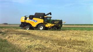LU Lange mit New Holland CX 8040 im Einsatz