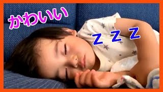 【日常Vlog】可愛い寝顔☆起こしたら大変な事になった！号泣のお知らせ！　[Daily Vlog] Wake up! Crying