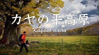 【風景写真】紅葉のカヤの平高原でのんびりブナ林ハイキングと撮影｜Kayanodaira Landscape Photography Vlog