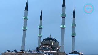 Шеъри зебо бо садои  Кори Насриддин سرود زيبا در وصف پيامبر،ص، باصداي قاري نصرالدين 2019