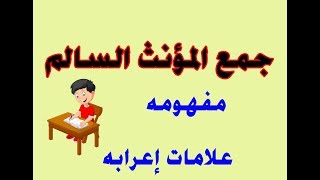 جمع المؤنث السالم لتلاميذ الطور الابتدائي
