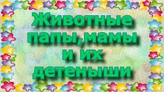 Животные мамы, папы и их детки. Как называются?