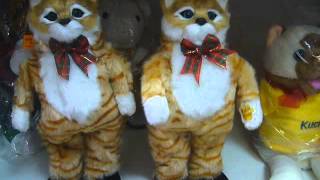 Поющий кот 1 песня