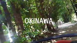 [OKINAWA] 11월 오키나와 여행