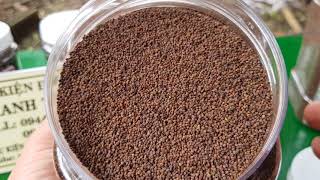 hạt mằn ri hoa vàng giúp cu gáy căng lữa, bóng long.... 160k/1kg | 0944445089 - 0966407822