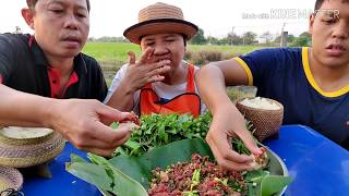 ก้อยแค่นๆกับบรรยากาศสุดชิลล์lสไตล์นายฮ้อยเผือก24/01/2020