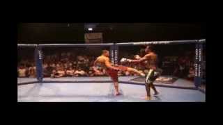 Victor Figueiredo MMA HL