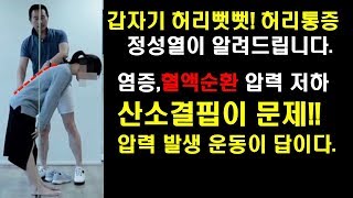 갑자기 허리가 뻣뻣해지고 움직일 수없는 고통 급성 허리통증과 만성 허리질환재발혈액순환이 문제이다.