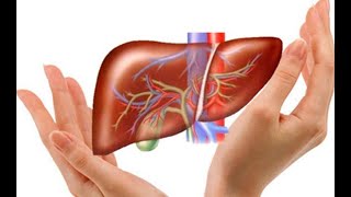 Giải độc gan là tốt, nhưng  chúng ta đều mắc những sai lầm này khi giải độc gan || Sức Khỏe Mỗi Ngày