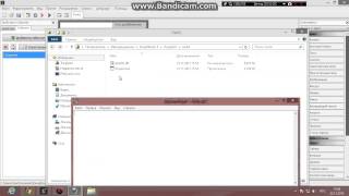 Инжектор на php devel studio DS через API