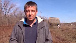 Специализированное хозяйство предлагает садоводам широкий выбор саженцев