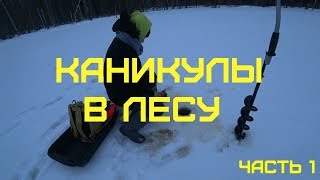 С дочкой в избу/на каникулах/учимся рыбачить/часть 1