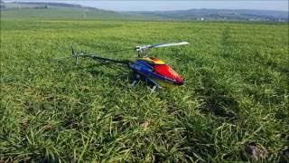 T-Rex 700L Dominator TOP (Testflug)